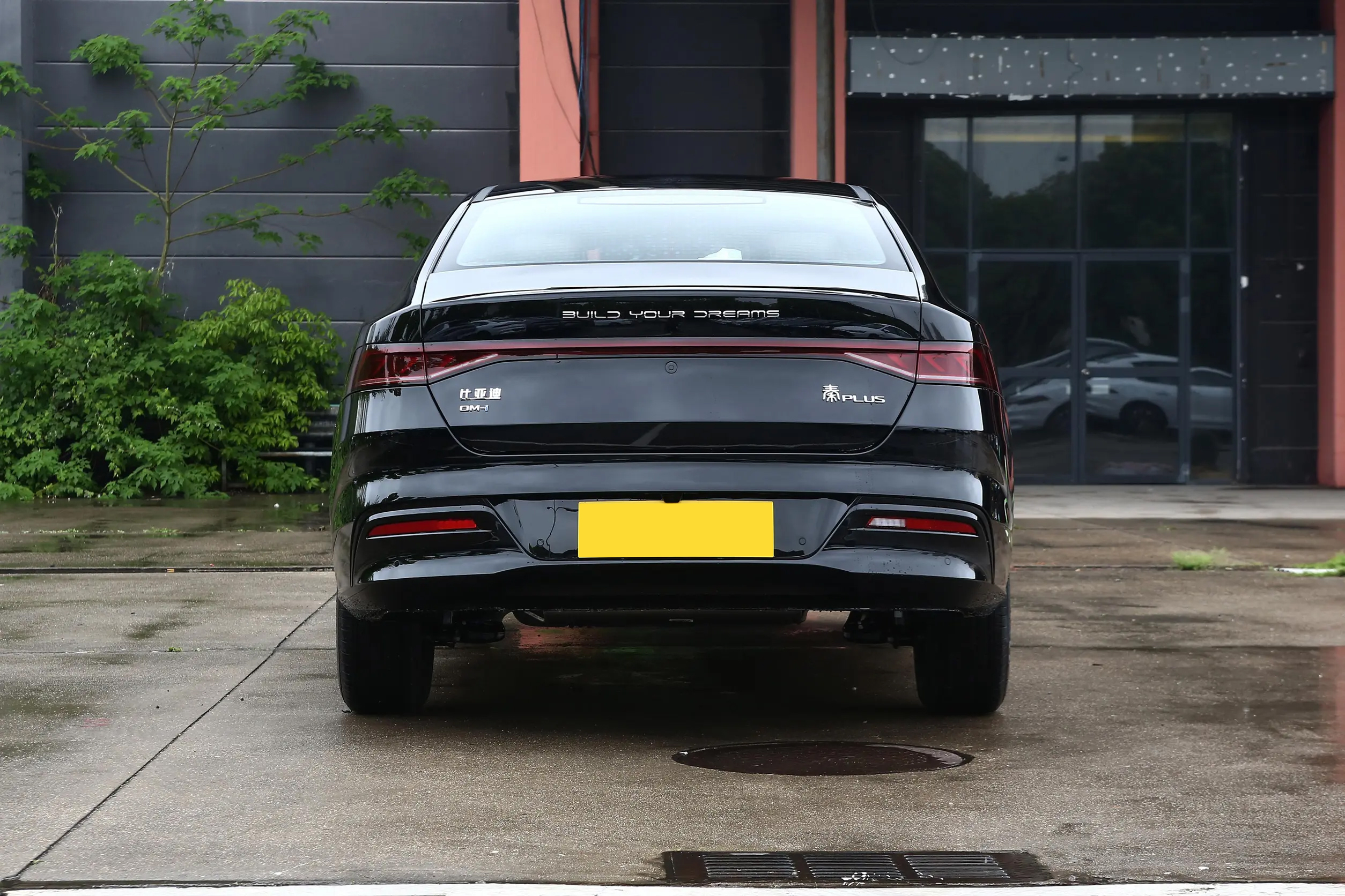BYD QinPlus DM-i Rear Design - PHEV Sedan