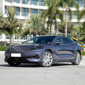 BYD Denza Z9 Front Grille - EV/PHEV Technology