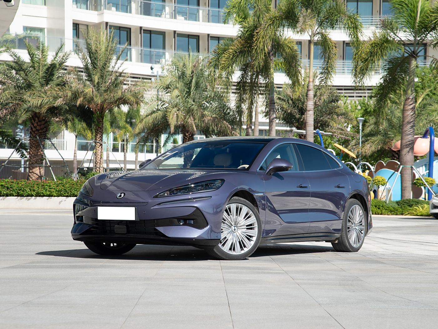 BYD Denza Z9 Front Grille - EV/PHEV Technology