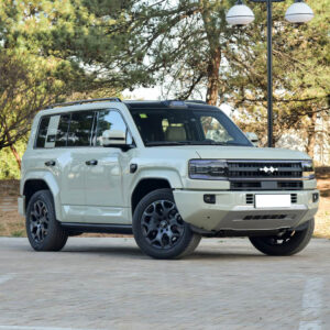 BYD cars BYD Formula Leopard 5 / DENZA B5 PHEV SUVs ready for bulk export, left-hand-drive, Euro 6 & GCC specs, 1,200 km range, 31-inch wading, port loading background