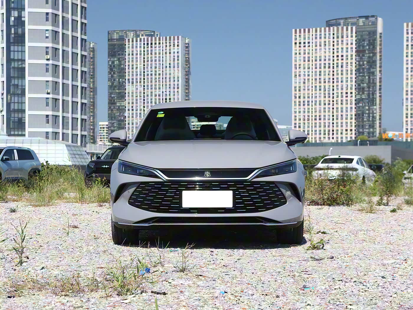 BYD QinL DM-i Front Details - PHEV Technology