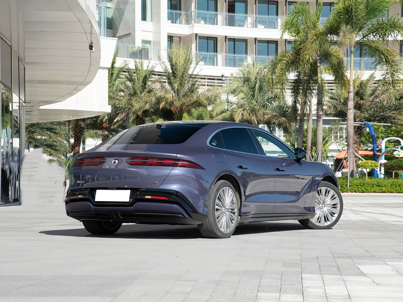 BYD Denza Z9 Side Contour - PHEV Executive Car