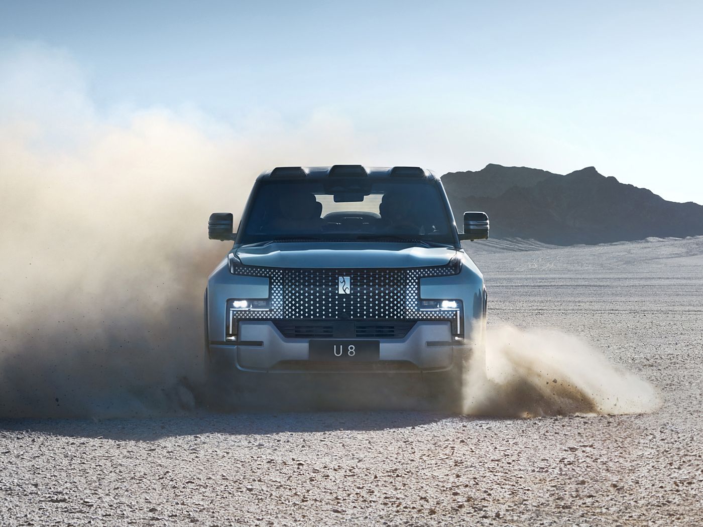 Yangwang U8 logo and badge detail