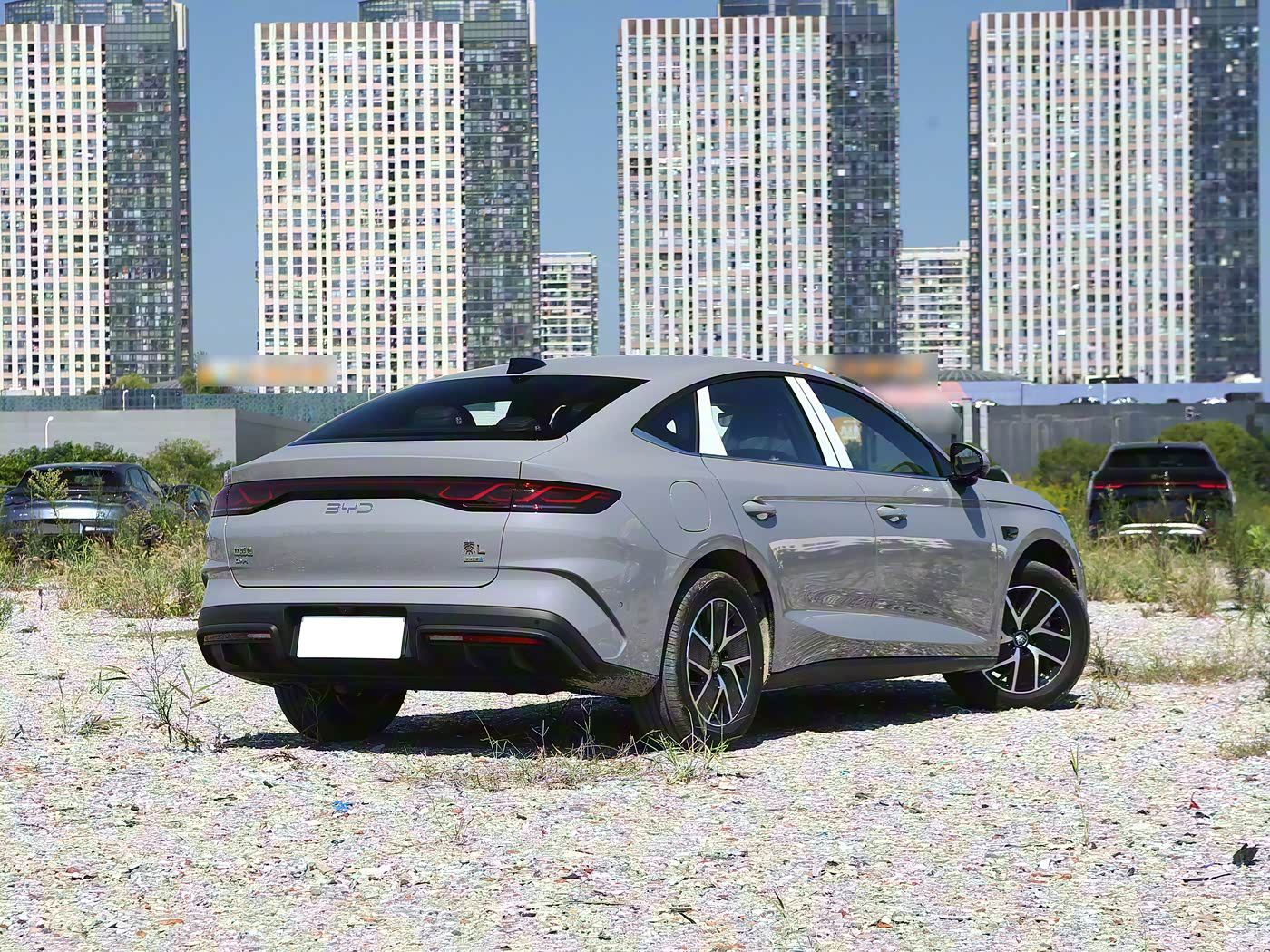 BYD QinL DM-i Side Details - Premium Craftsmanship