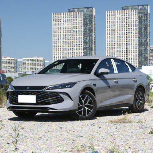 BYD QinL DM-i Front Grille - PHEV Sedan