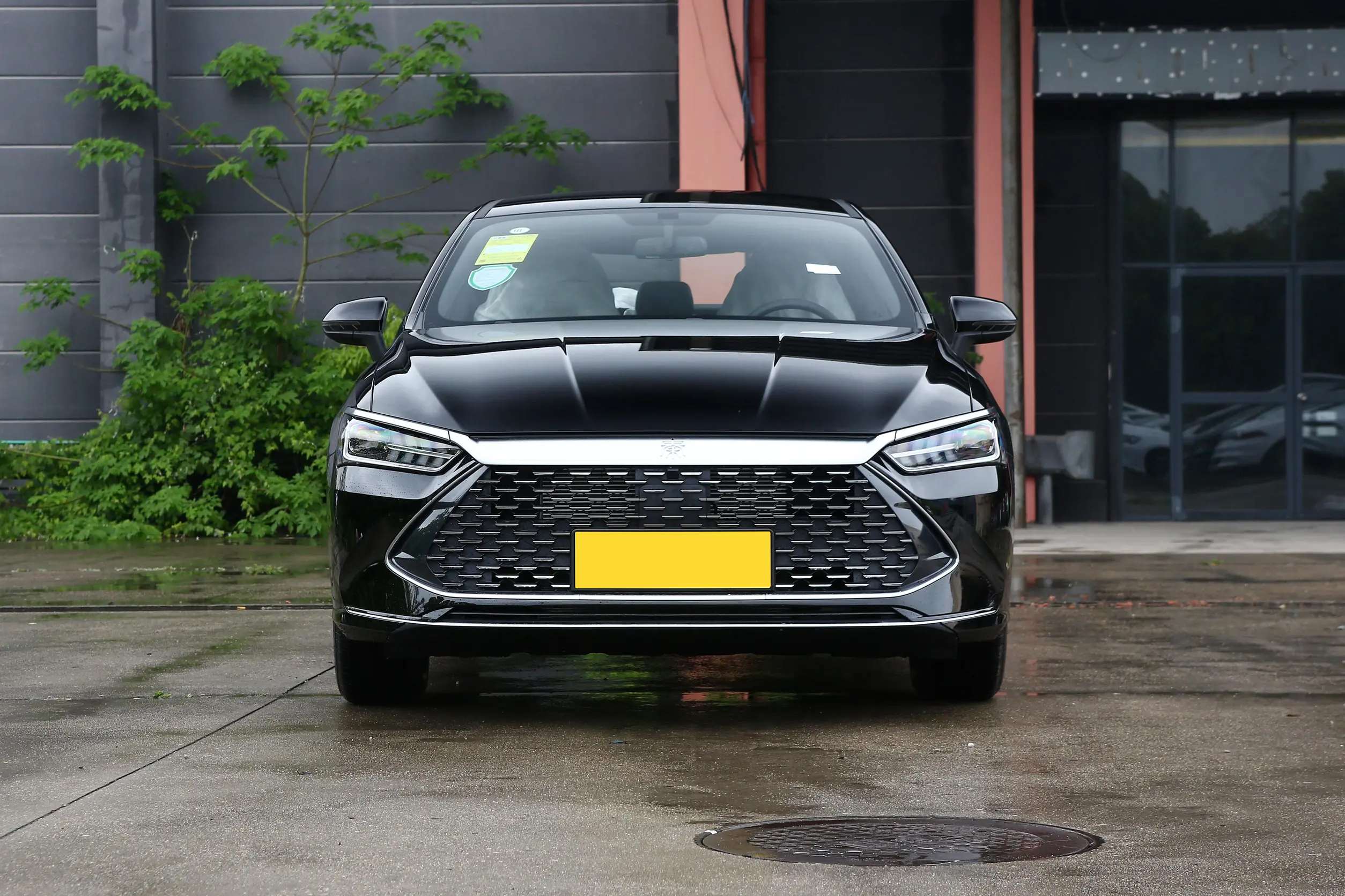 BYD QinPlus DM-i Full Front Stance - Hybrid Sedan