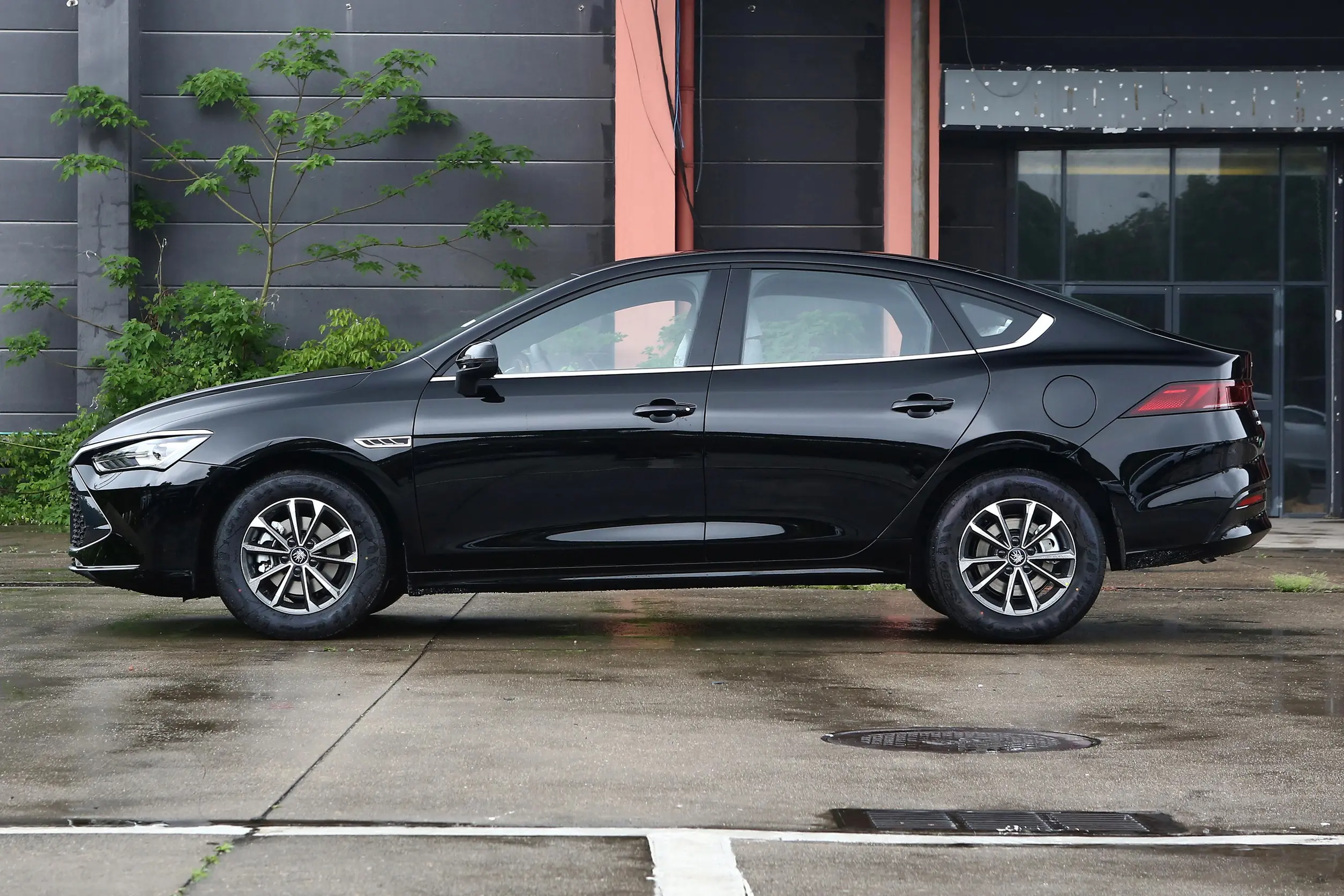 BYD QinPlus DM-i Rear Quarter - PHEV Styling