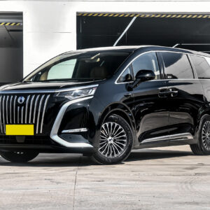 BYD Denza D9 EV Front Details - Premium MPV Design