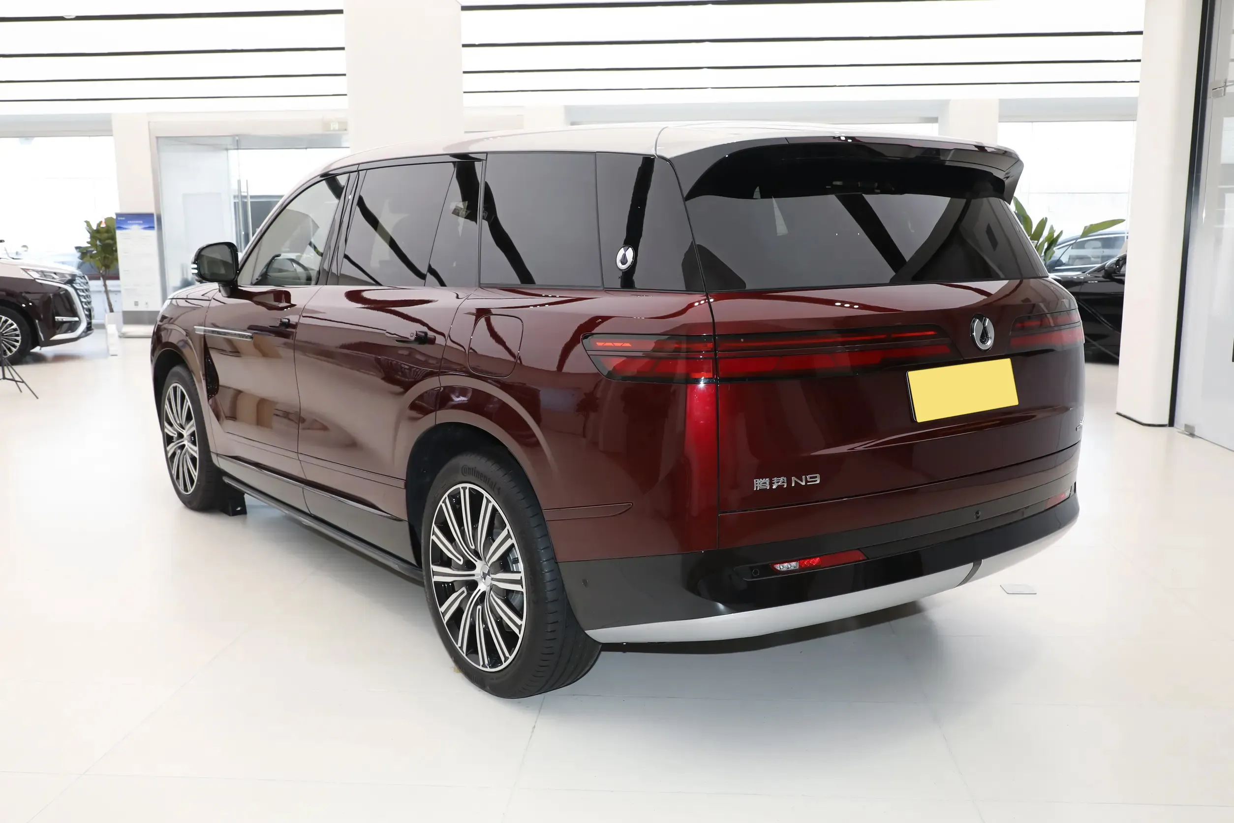 BYD Denza N9 Side Contour - Luxury SUV Design