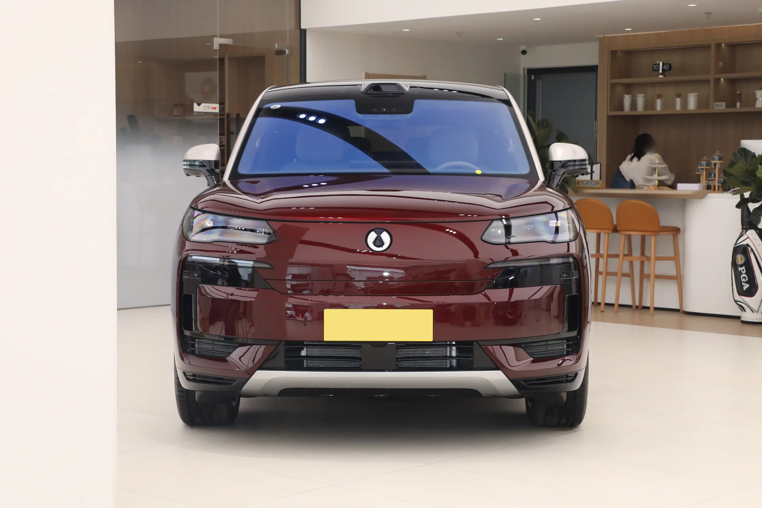 BYD Denza N9 Front Grille - PHEV SUV