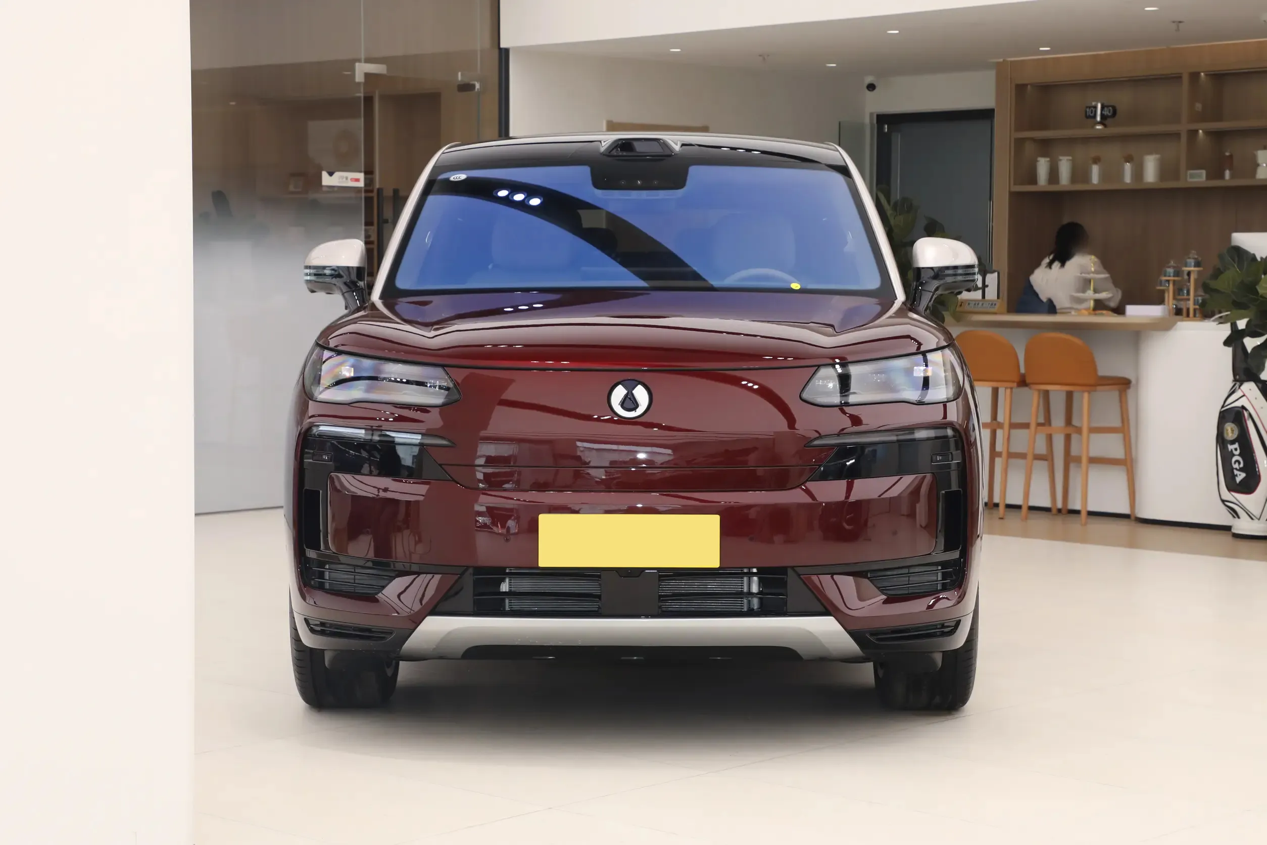 BYD Denza N9 Front Grille - PHEV SUV