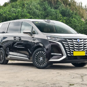 BYD Denza D9 DM-i Front Grille - PHEV MPV Design