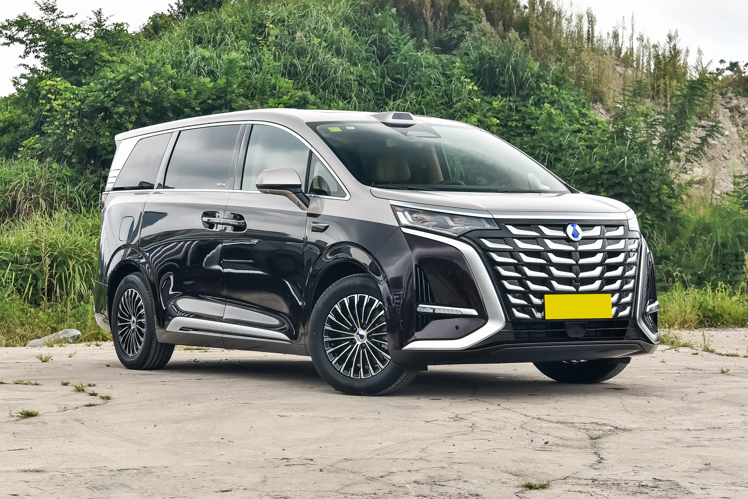 BYD Denza D9 DM-i Front Grille - PHEV MPV Design