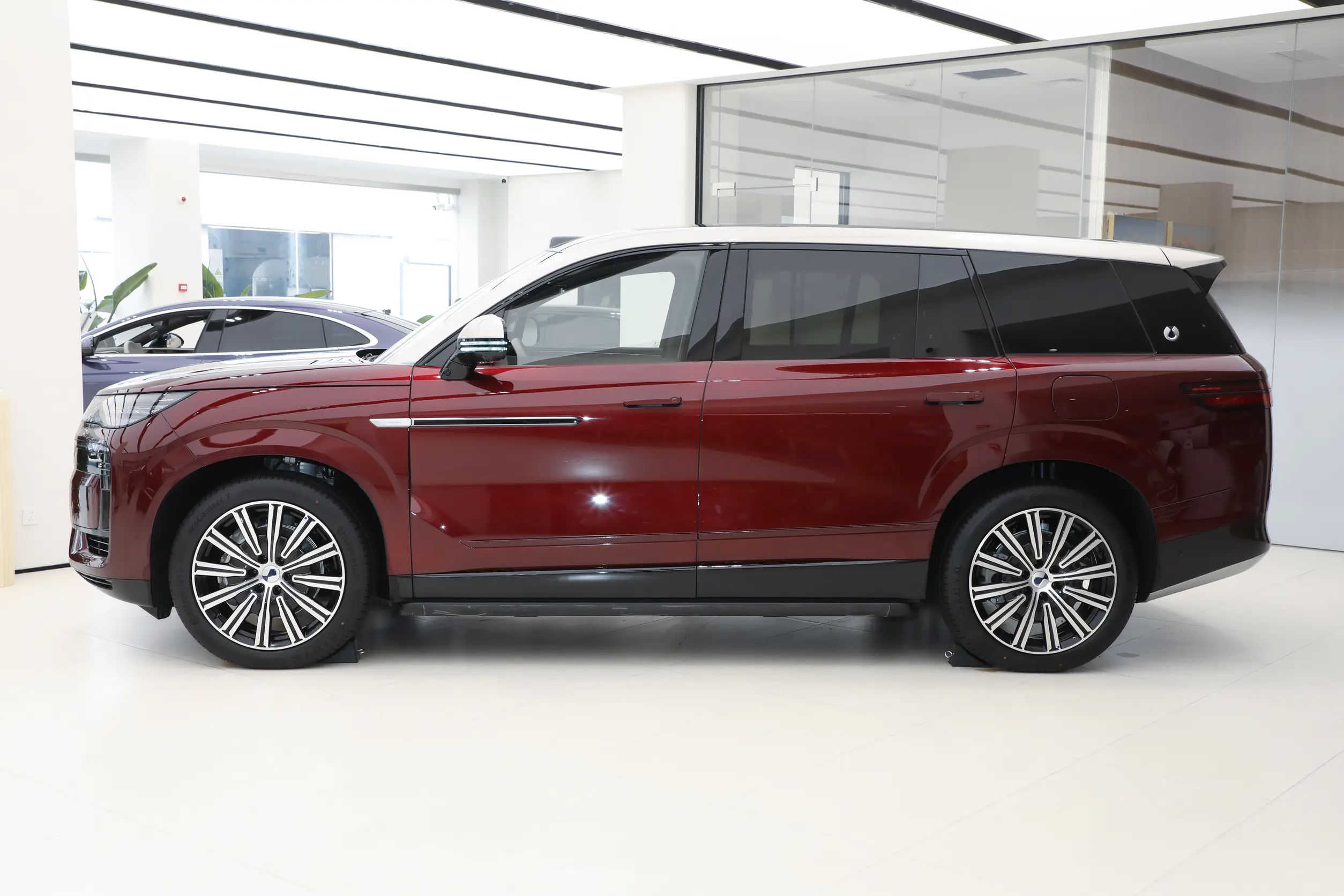 BYD Denza N9 Rear Quarter - Premium SUV Stance