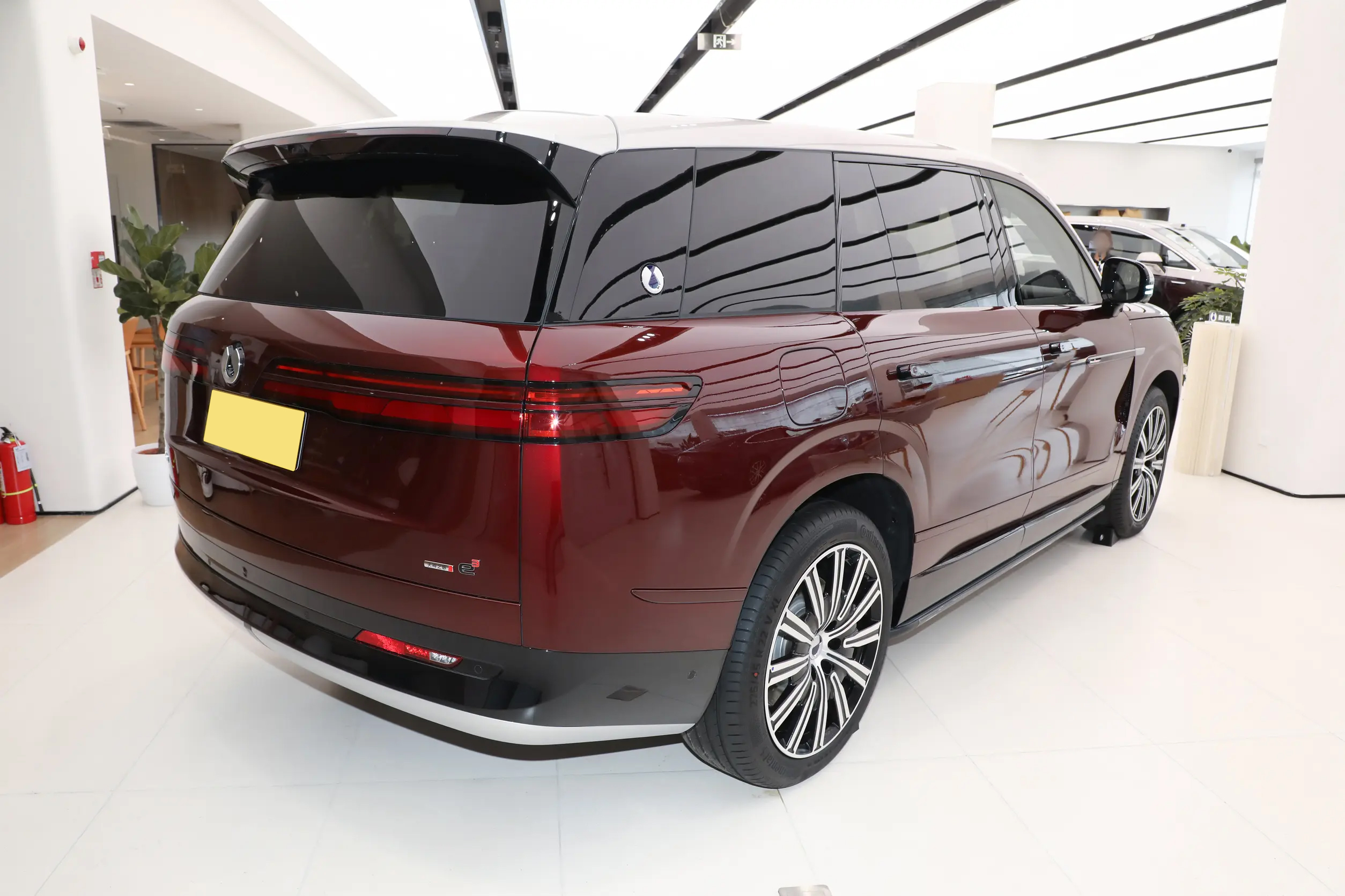 BYD Denza N9 Side Details - Executive SUV