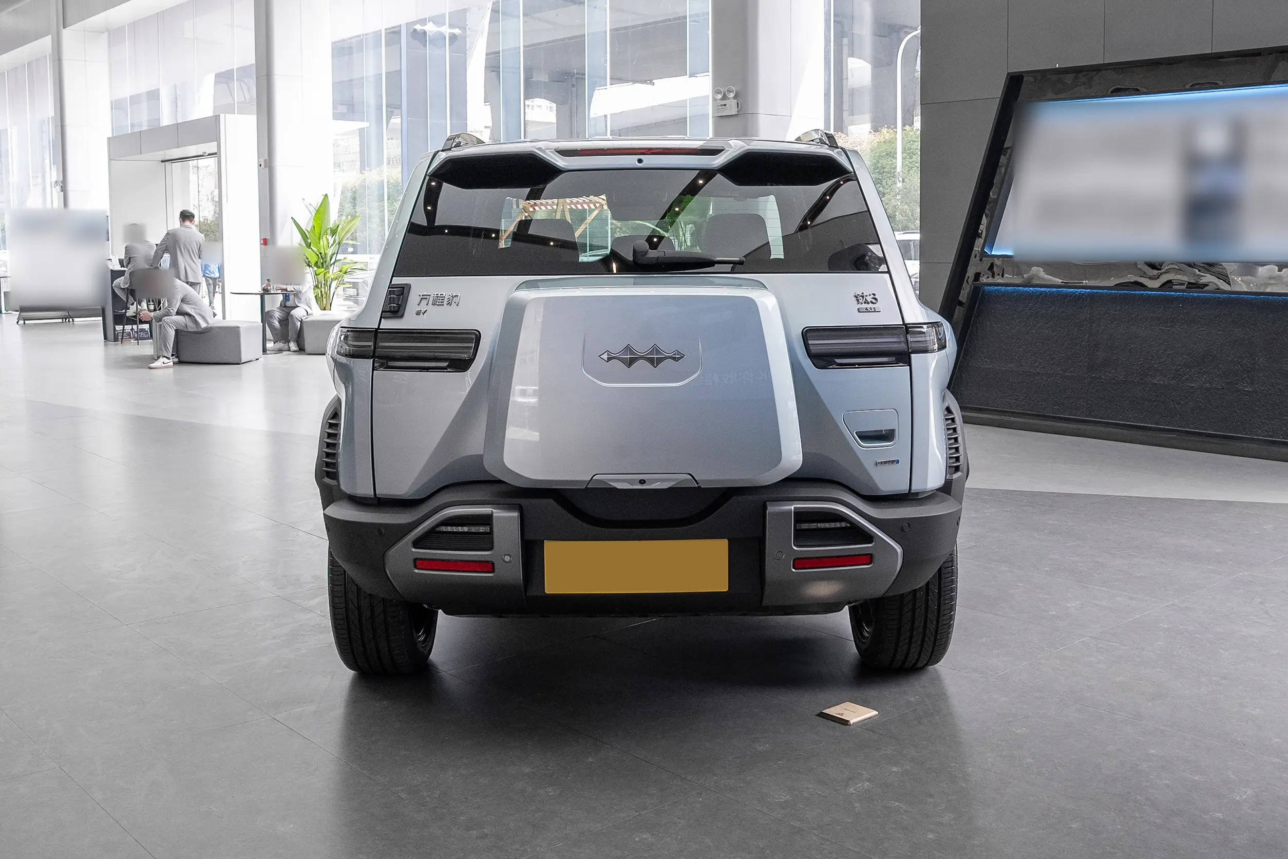 BYD Formula Leopard TAI3 rear view with LED taillights