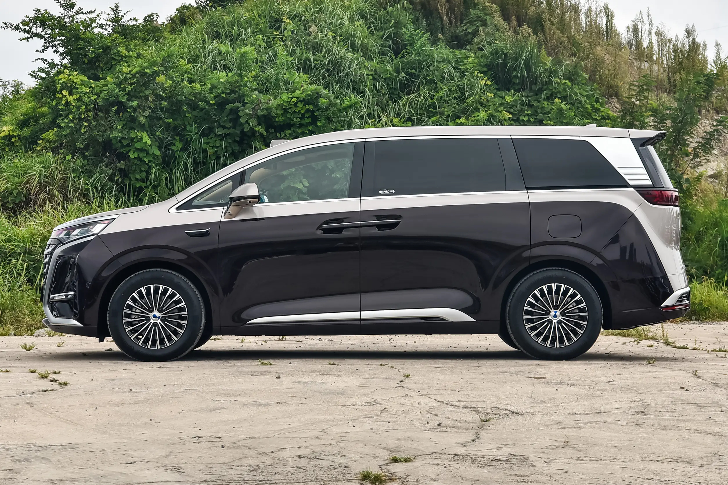 BYD Denza D9 DM-i Side Profile - Hybrid MPV Proportions