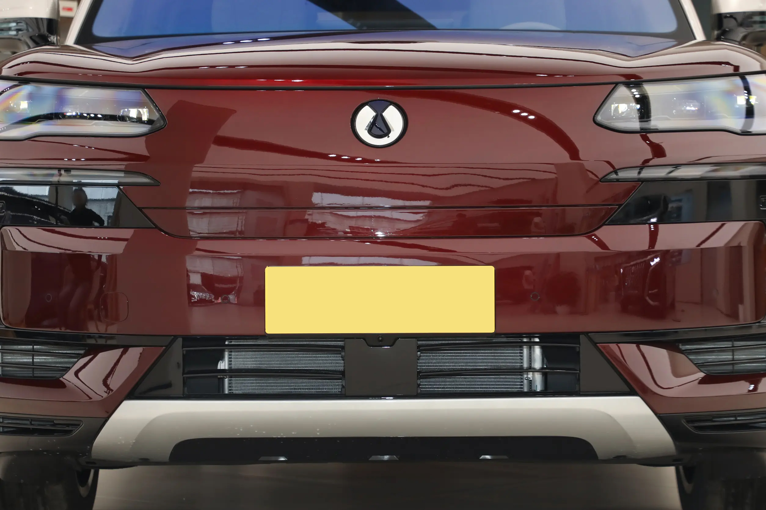 BYD Denza N9 Front Angle - Hybrid SUV Design