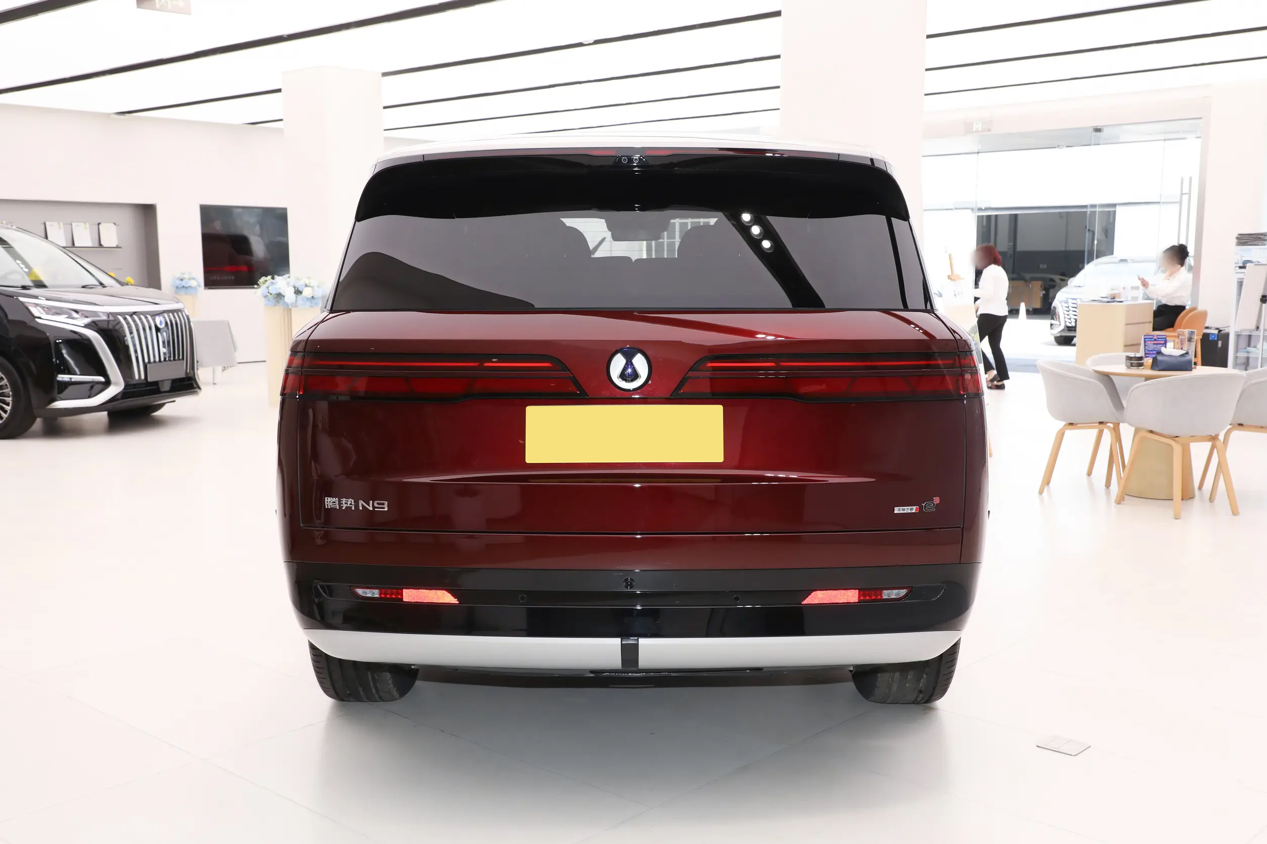 BYD Denza N9 Rear Design - Premium SUV