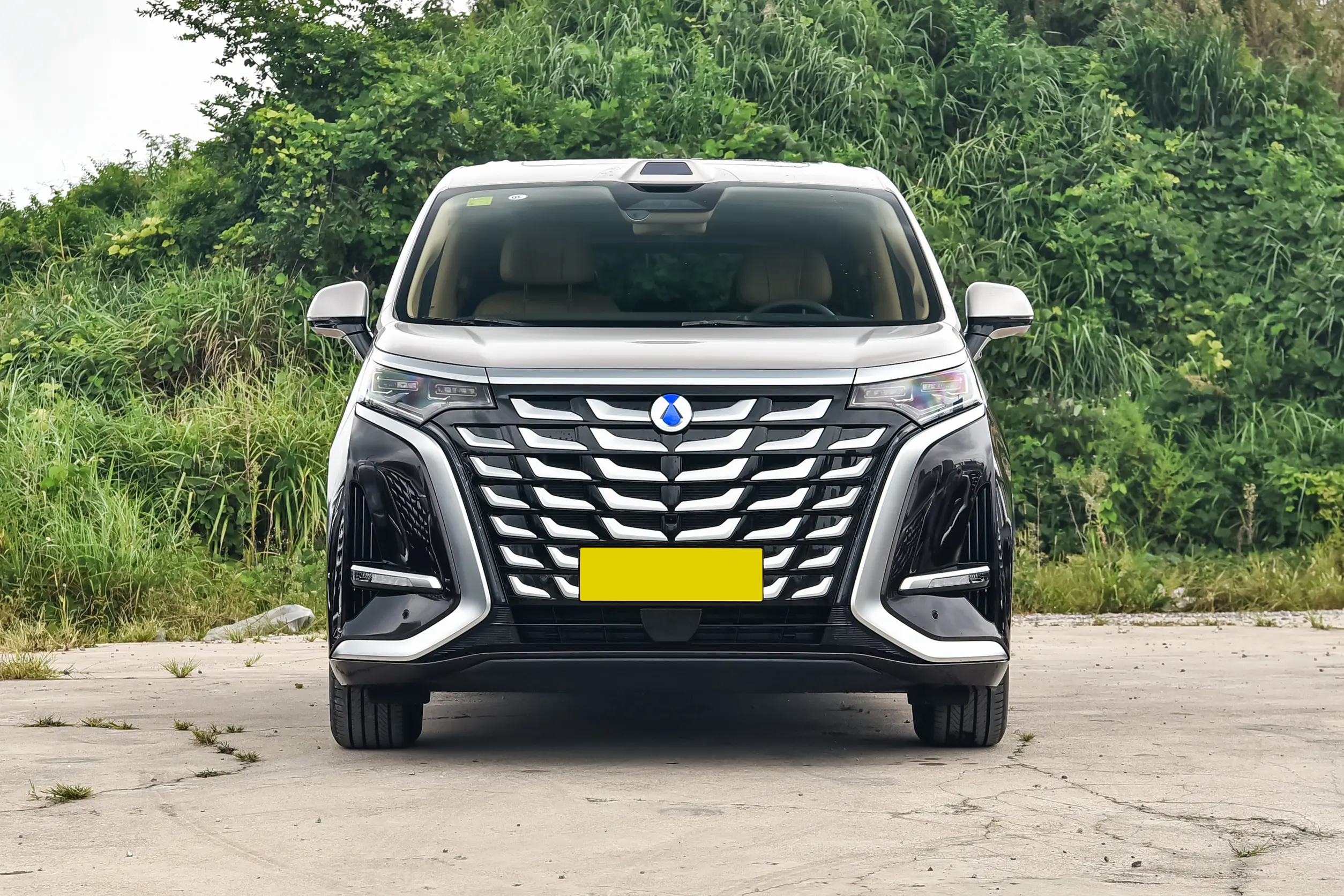 YD Denza D9 DM-i Side Details - Premium Hybrid MPV