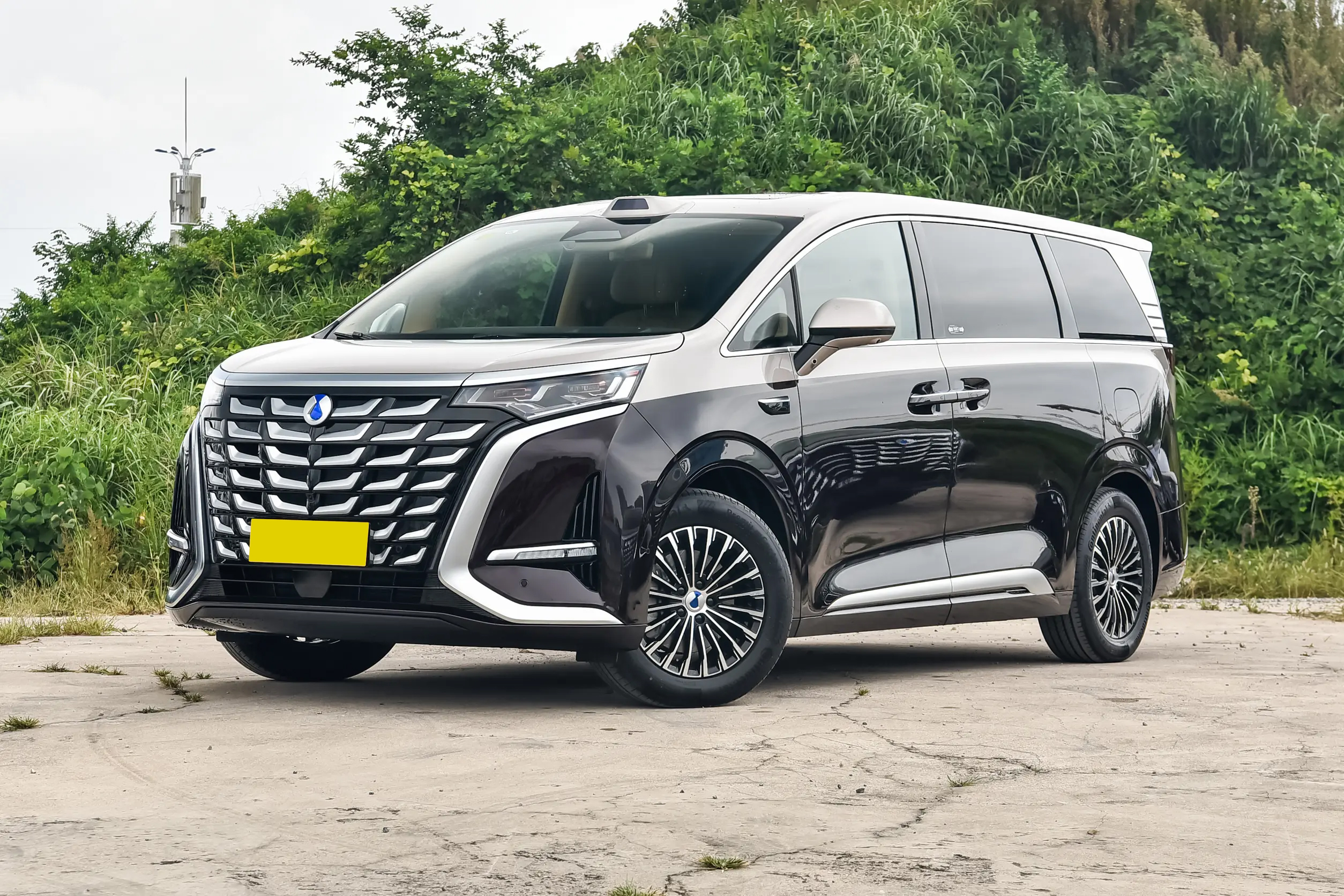 BYD Denza D9 DM-i Front Details - Plug-in Hybrid MPV