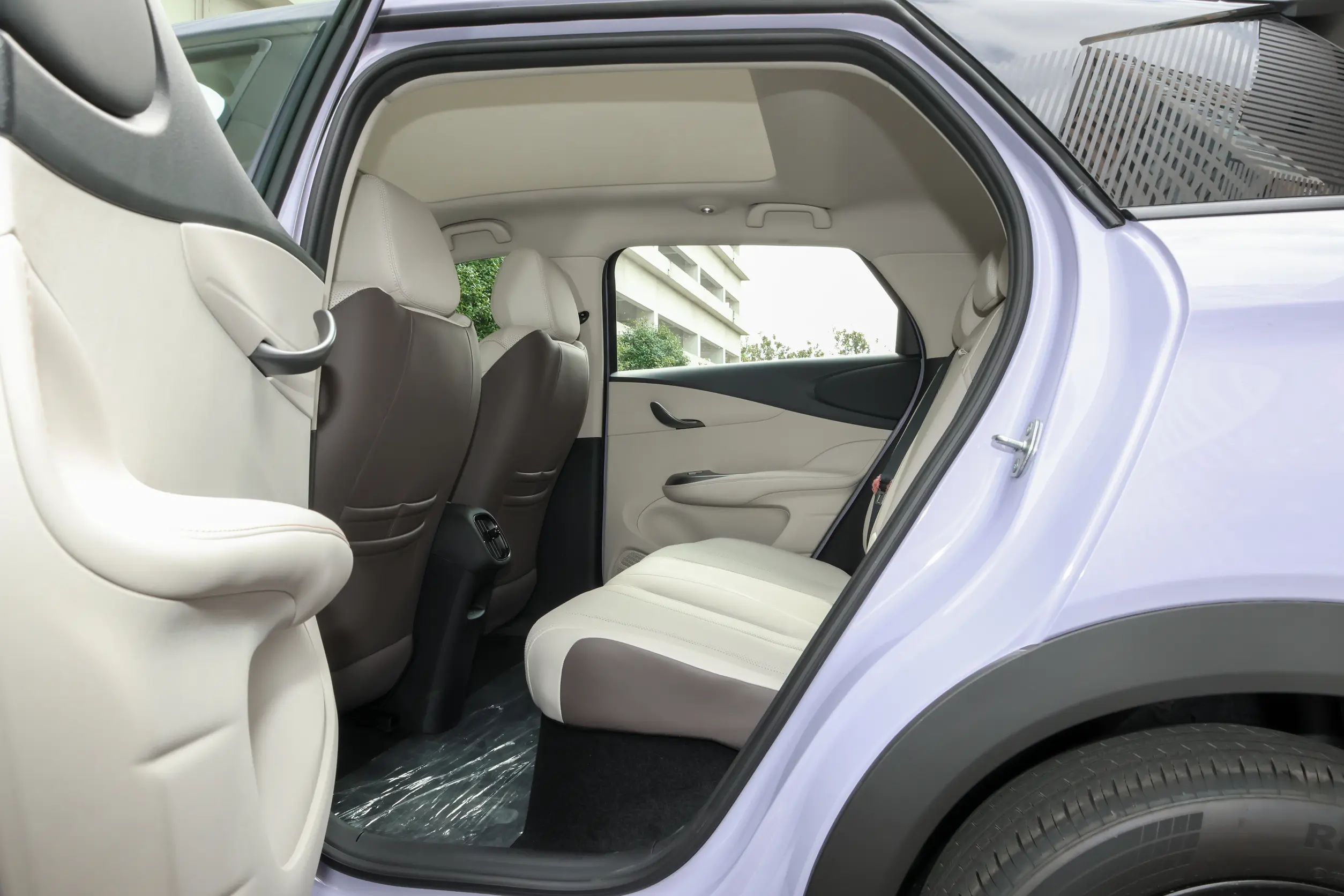 BYD Dolphin Rear Seats - Spacious Rear Seating