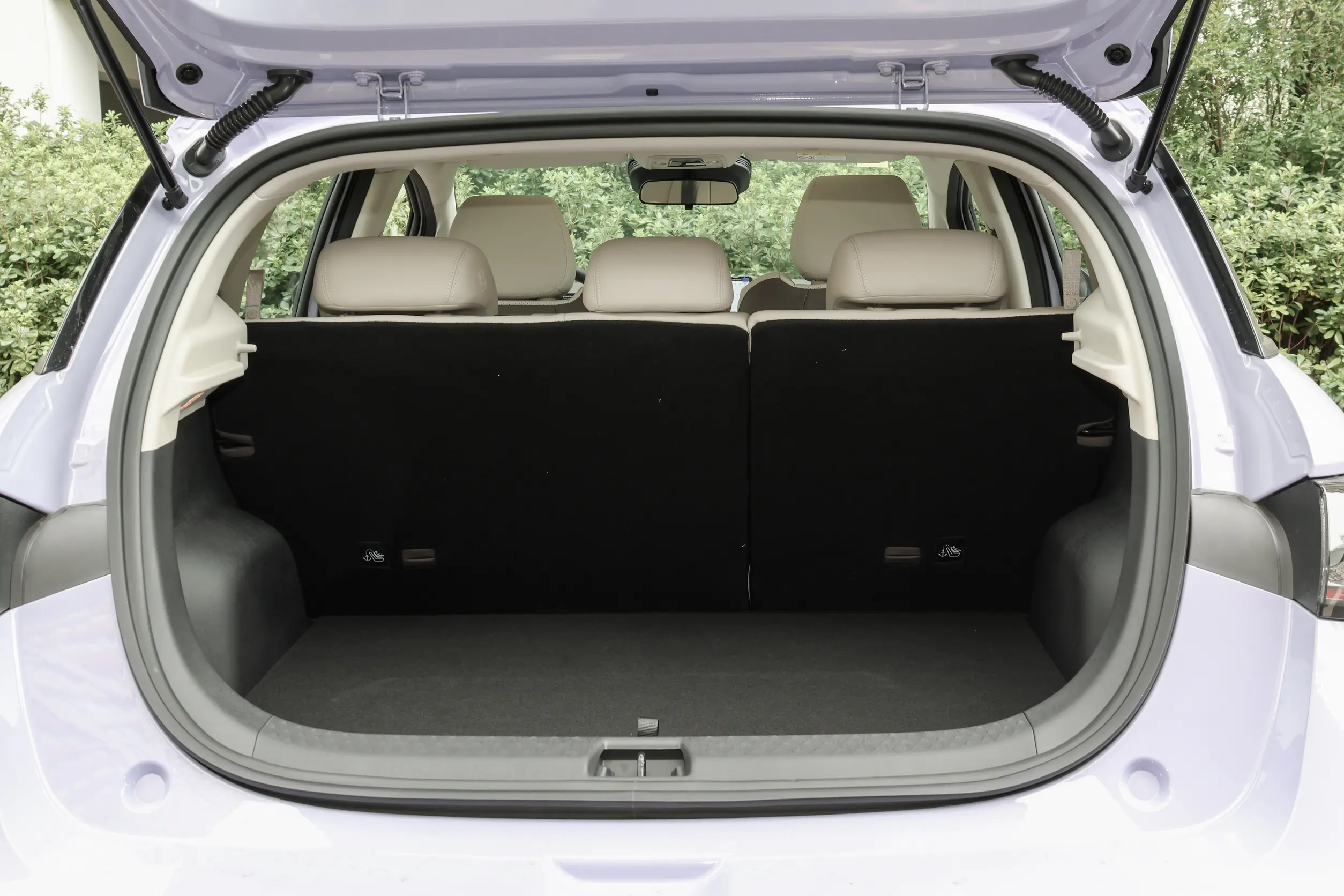 BYD Dolphin Cabin Space - Spacious EV Interior