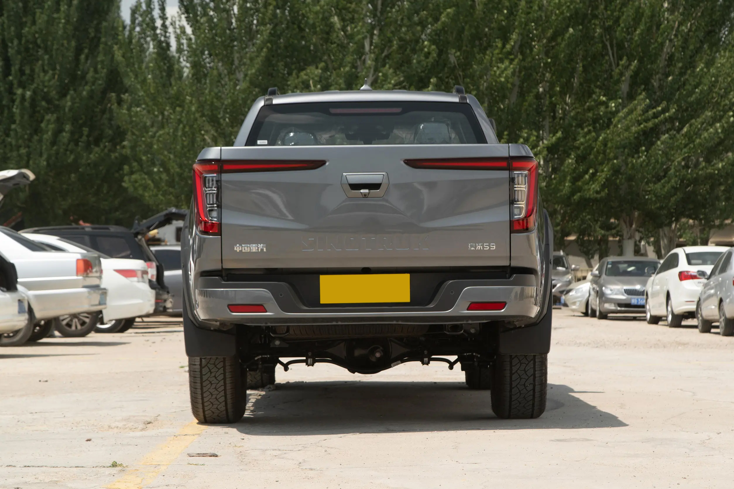 BOLDEN S7 Diesel Pickup Rear End