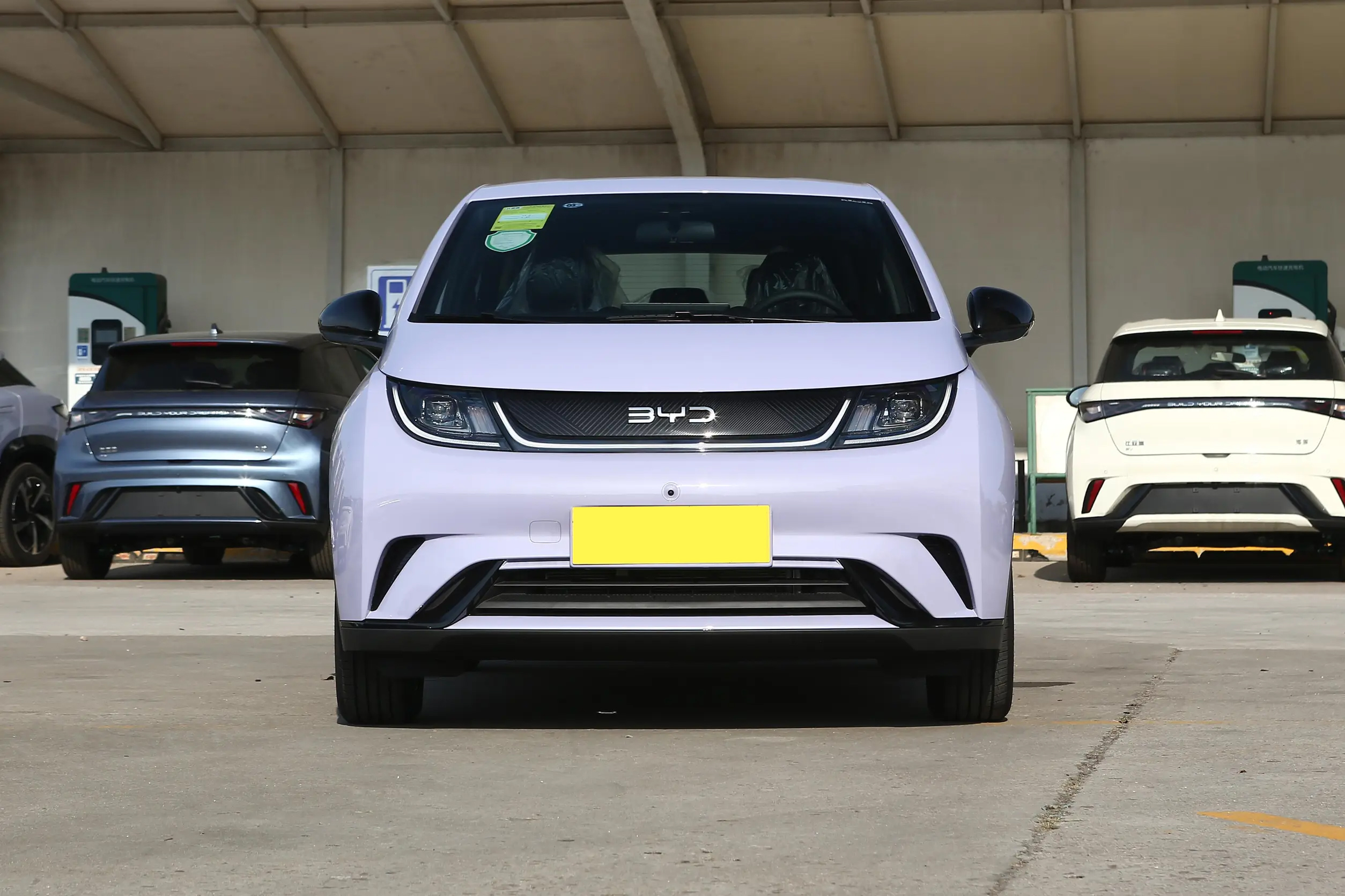 BYD Dolphin Front Grille - Ocean Aesthetic Design